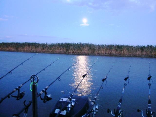 Doar ... NATURA  - 2 - gedc0390.JPG